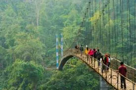 Meghalaya Selling Guide
